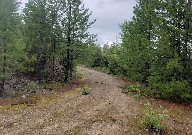 Homes for sale in Huson, MT | Lot 15 Nine Mile, Huson, MT 59846 | MLS# 30058111