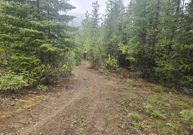 2nd image of Lot 15 Nine Mile, Huson, MT 59846 | MLS# 30058111