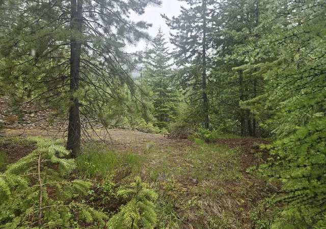 3rd image of Lot 15 Nine Mile, Huson, MT 59846 | MLS# 30058111