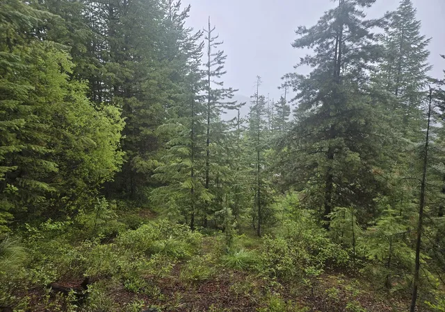 4th image of Lot 15 Nine Mile, Huson, MT 59846 | MLS# 30058111
