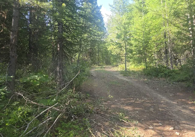 10th image of Lot 17 Nine Mile Rd, Huson, MT 59846 | MLS# 30058113