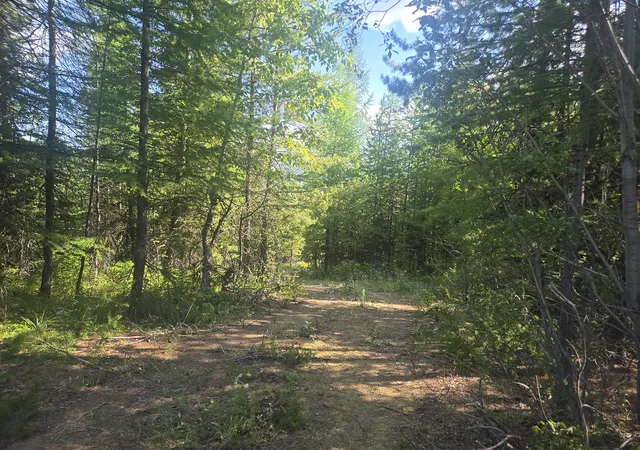 1st image of Lot 17 Nine Mile Rd, Huson, MT 59846 | MLS# 30058113