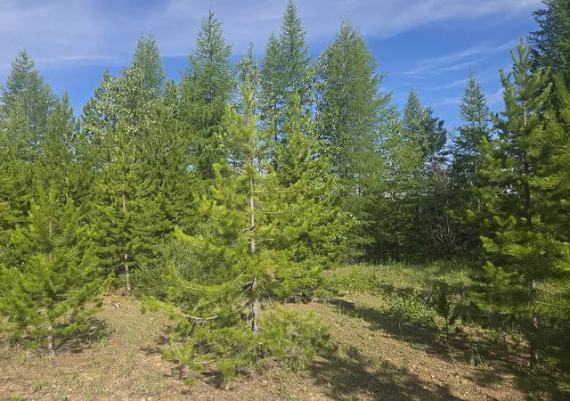 5th image of Lot 17 Nine Mile Rd, Huson, MT 59846 | MLS# 30058113