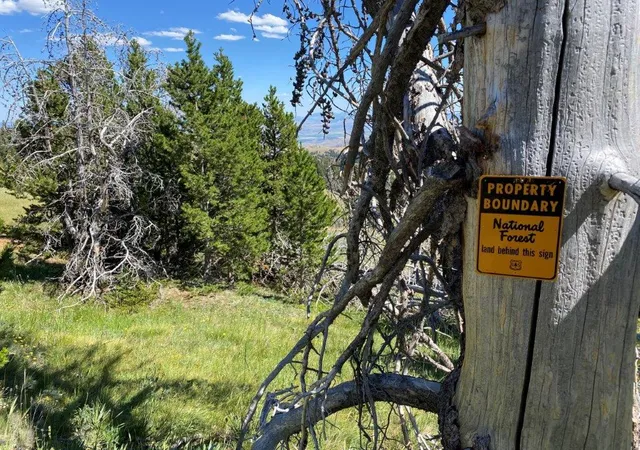 2nd image of Tbd Indian Creek Rd, Townsend, MT 59644 | MLS# 30058306