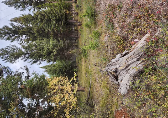 18th image of 408 Montana View Dr, Seeley Lake, MT 59868 | MLS# 30058327