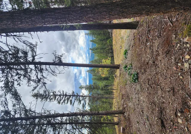 1st image of 408 Montana View Dr, Seeley Lake, MT 59868 | MLS# 30058327