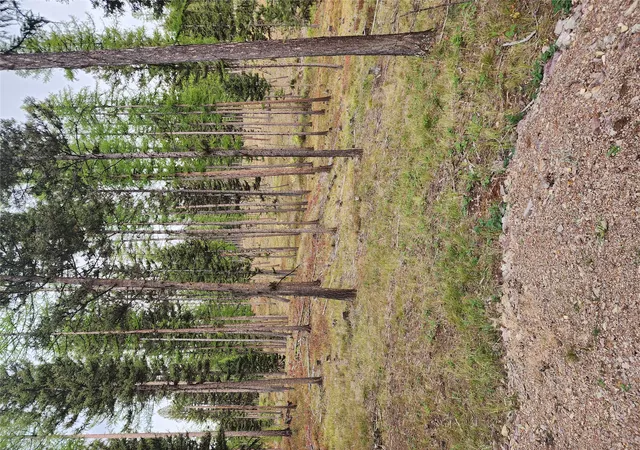2nd image of 408 Montana View Dr, Seeley Lake, MT 59868 | MLS# 30058327