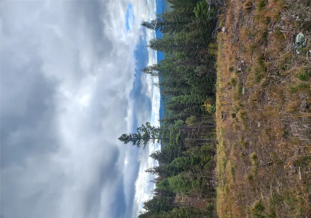 3rd image of 408 Montana View Dr, Seeley Lake, MT 59868 | MLS# 30058327