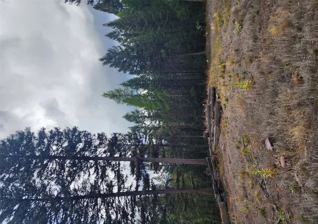 4th image of 408 Montana View Dr, Seeley Lake, MT 59868 | MLS# 30058327