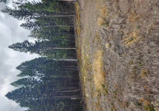 5th image of 408 Montana View Dr, Seeley Lake, MT 59868 | MLS# 30058327