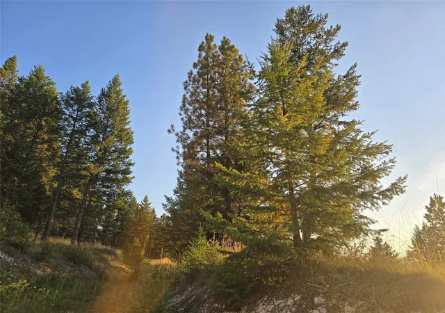Homes for sale in Kalispell, MT | 218 Walking Coyote Dr #LOT 68, Kalispell, MT 59901 | MLS# 30058202