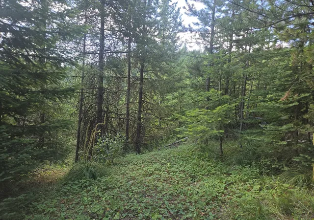 1st image of Lot 22 Nine Mile Rd, Huson, MT 59846 | MLS# 30058496