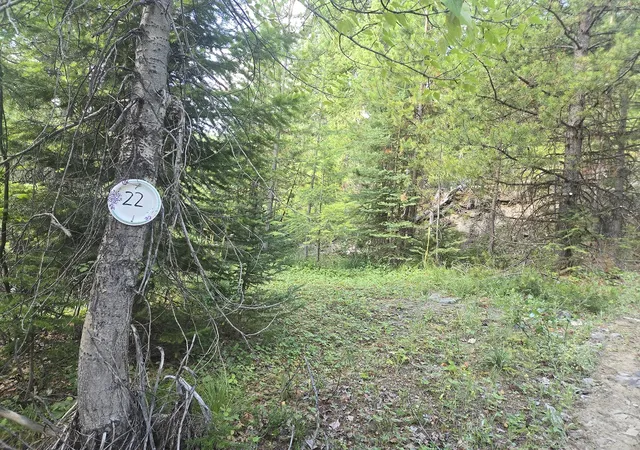 2nd image of Lot 22 Nine Mile Rd, Huson, MT 59846 | MLS# 30058496
