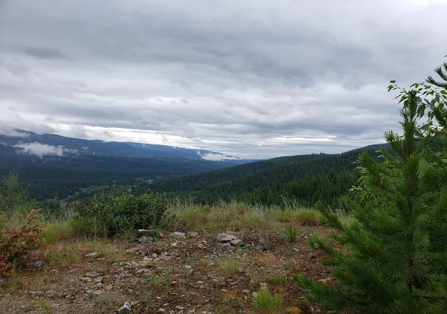 Homes for sale in Huson, MT | Lot 22 Nine Mile Rd, Huson, MT 59846 | MLS# 30058496