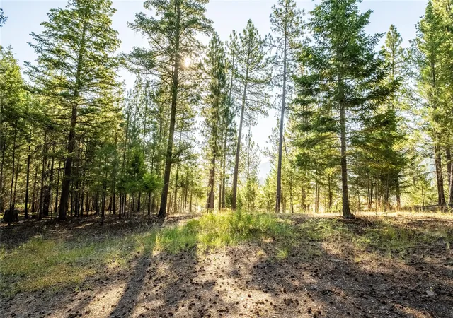 Homes for sale in Clinton, MT | 14297 Caddisfly Ct, Clinton, MT 59825 | MLS# 30058254