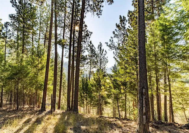Homes for sale in Clinton, MT | 14297 Caddisfly Ct, Clinton, MT 59825 | MLS# 30058254