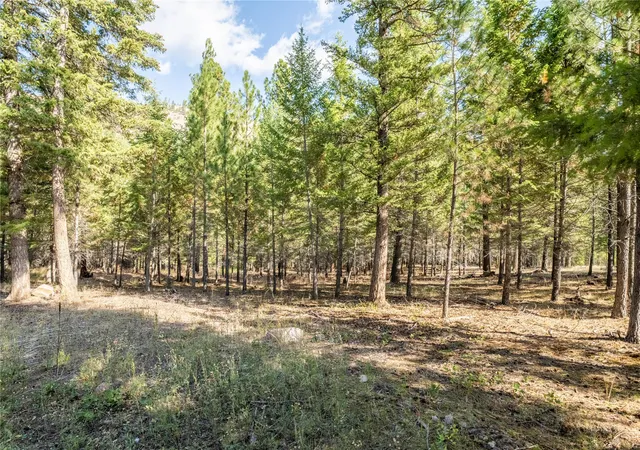 Homes for sale in Clinton, MT | Lot 2 Caddisfly Ct, Clinton, MT 59825 | MLS# 30058255