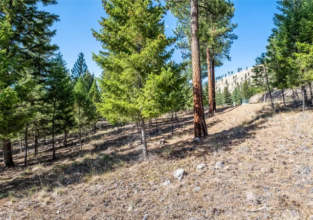 Homes for sale in Clinton, MT | Lot 9 Stonefly Rd, Clinton, MT 59825 | MLS# 30058260