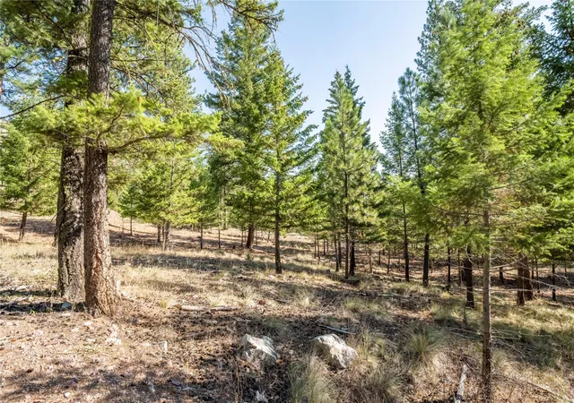 Homes for sale in Clinton, MT | Lot 9 Stonefly Rd, Clinton, MT 59825 | MLS# 30058260