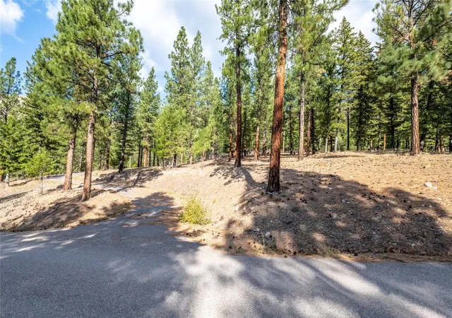 Homes for sale in Clinton, MT | Lot 11 Stonefly Rd, Clinton, MT 59825 | MLS# 30058300