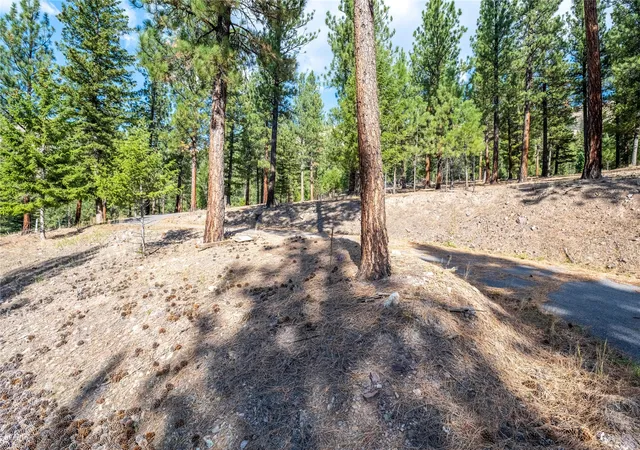 Homes for sale in Clinton, MT | Lot 11 Stonefly Rd, Clinton, MT 59825 | MLS# 30058300