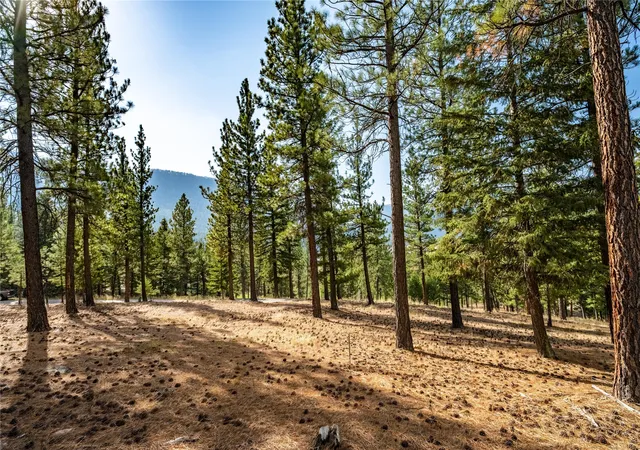 Homes for sale in Clinton, MT | Lot 11 Stonefly Rd, Clinton, MT 59825 | MLS# 30058300