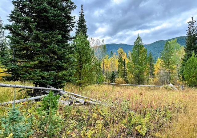 Photo 1 of Land for sale at Nhn Giefer Crk Rd, Essex, MT 59916 | MLS# 30058520 | Listing updated on 2026-10-03
