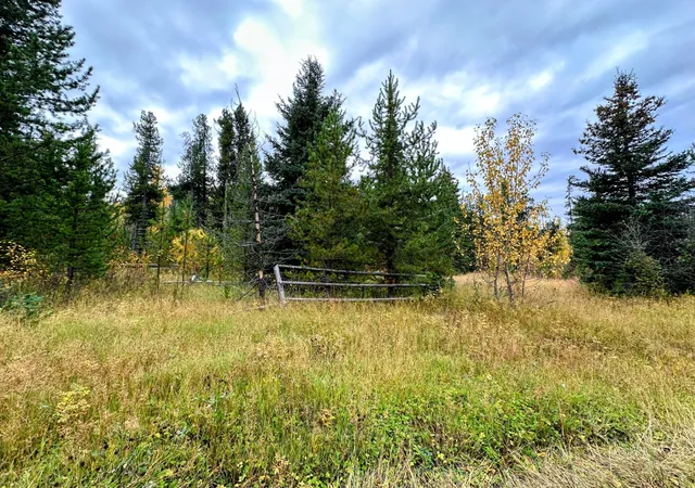 Photo 3 of Land for sale at Nhn Giefer Crk Rd, Essex, MT 59916 | MLS# 30058520 | Listing updated on 2026-10-03