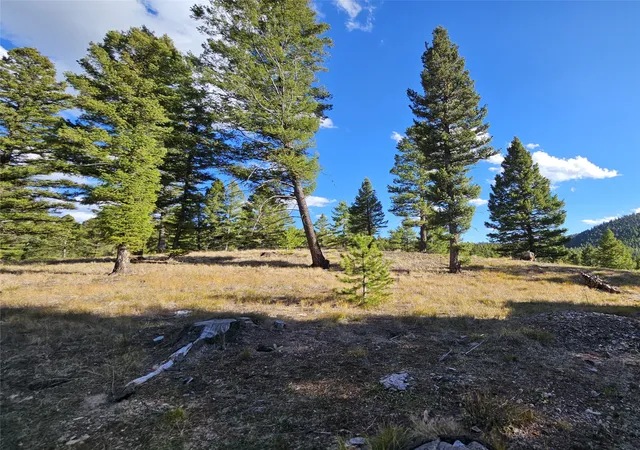 Homes for sale in Helmville, MT | 161 Powder Horn Rd, Helmville, MT 59843 | MLS# 30059732