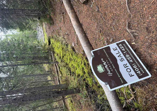 Homes for sale in Deer Lodge, MT | Tbd Dark Horse Mining Claim, Deer Lodge, MT 59722 | MLS# 30059855