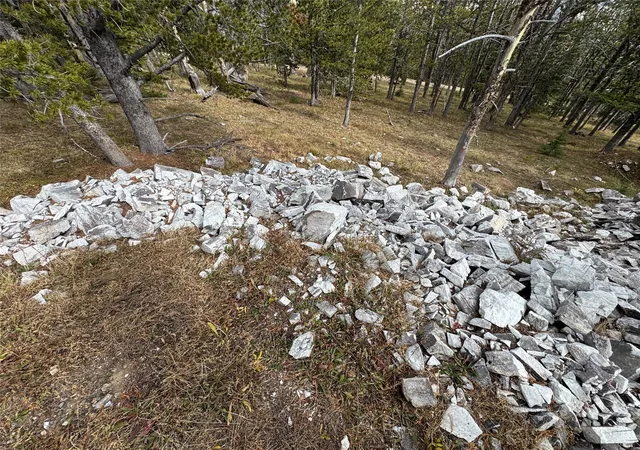 Homes for sale in Deer Lodge, MT | Tbd Dark Horse Mining Claim, Deer Lodge, MT 59722 | MLS# 30059855