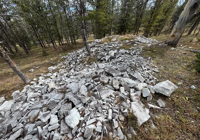 Homes for sale in Deer Lodge, MT | Tbd Dark Horse Mining Claim, Deer Lodge, MT 59722 | MLS# 30059855