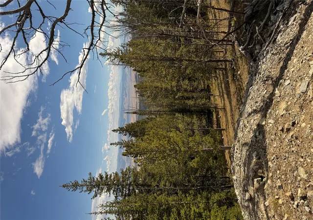 Homes for sale in Deer Lodge, MT | Tbd Dark Horse Mining Claim, Deer Lodge, MT 59722 | MLS# 30059855