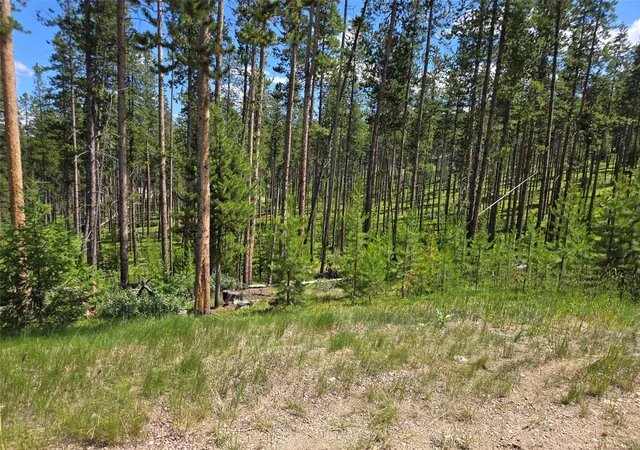 Homes for sale in Anaconda, MT | Lot 39 Shakopee Dr, Anaconda, MT 59711 | MLS# 30059875