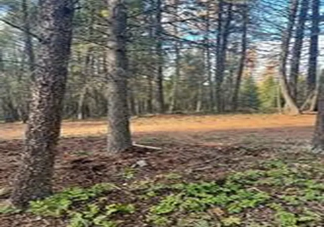 Photo 3 of Land for sale at 761 Springhill Rd, Kila, MT 59920 | MLS# 30060037 | Listing updated on 2026-07-01