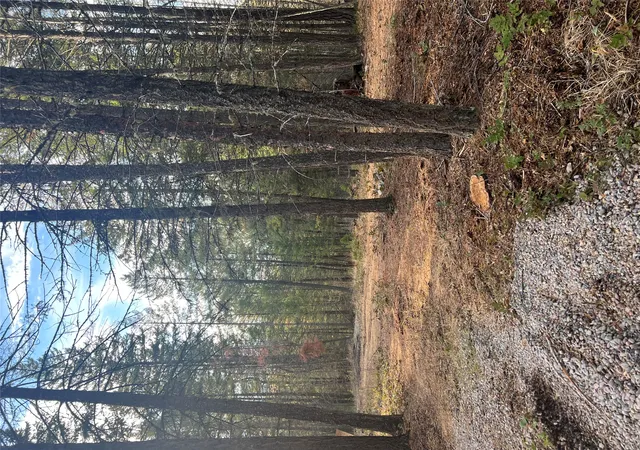 8th image of 761 Springhill Rd, Kila, MT 59920 | MLS# 30060037