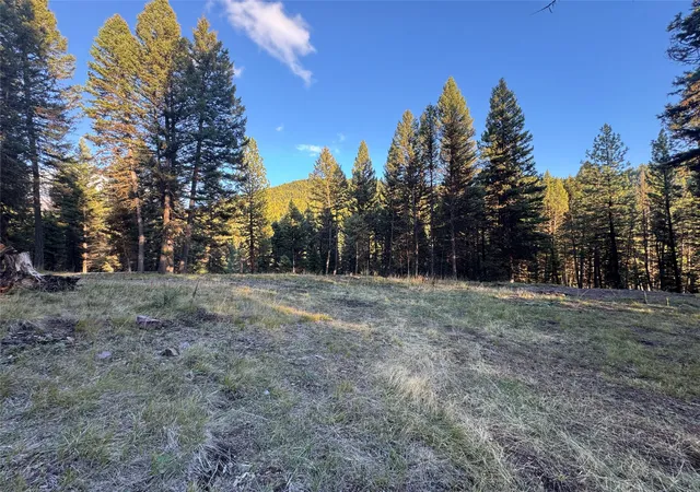 Photo 1 of Land for sale at 250 Summit Dr, Seeley Lake, MT 59868 | MLS# 30059981 | Listing updated on 2026-08-05