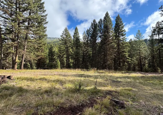 Photo 2 of Land for sale at 250 Summit Dr, Seeley Lake, MT 59868 | MLS# 30059981 | Listing updated on 2026-08-05
