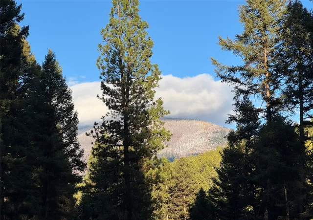 Photo 3 of Land for sale at 250 Summit Dr, Seeley Lake, MT 59868 | MLS# 30059981 | Listing updated on 2026-08-05