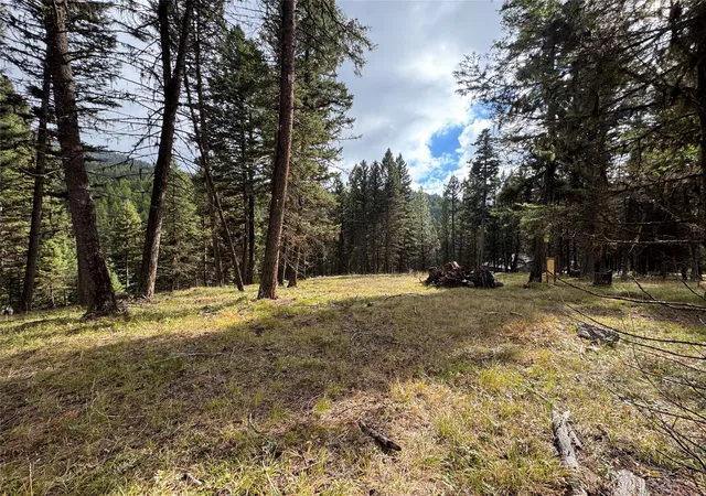 Photo 3 of Land for sale at 250 Summit Dr, Seeley Lake, MT 59868 | MLS# 30059981 | Listing updated on 2026-08-05