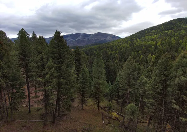 Photo 4 of Land for sale at 250 Summit Dr, Seeley Lake, MT 59868 | MLS# 30059981 | Listing updated on 2026-08-05