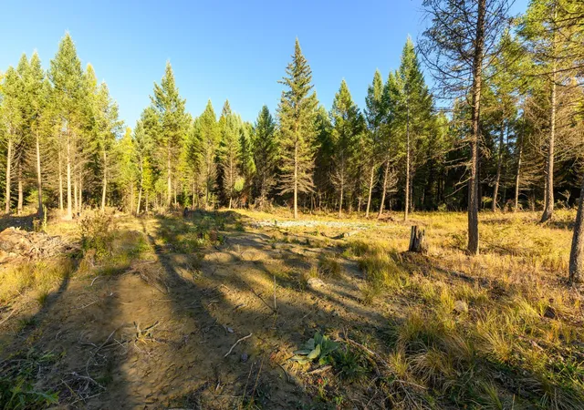28th image of 209 Turtle Trl, Eureka, MT 59917 | MLS# 30058216