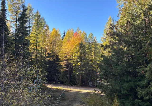Homes for sale in Trego, MT | 1089 Cedar Hills Road, Trego, MT 59934 | MLS# 30060384
