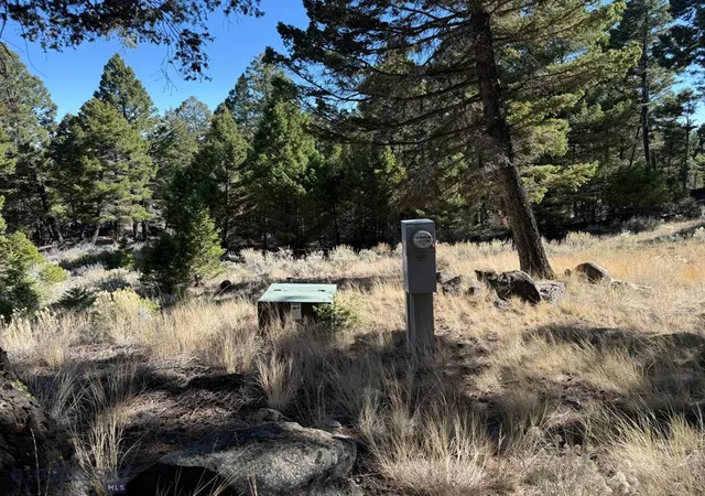 Photo 14 of Land for sale at 91 Upper Rader Crk Rd, Whitehall, MT 59759 | MLS# 30060514 | Listing updated on 2026-07-07