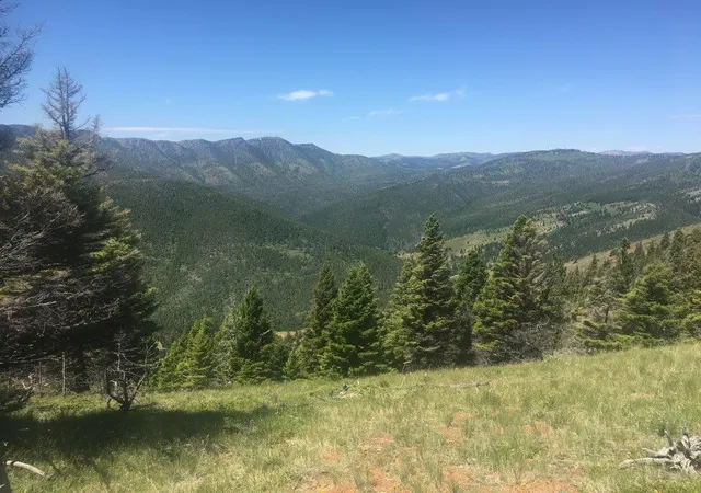 1st image of Tbd Bear Track Rd, Wolf Creek, MT 59648 | MLS# 30060519