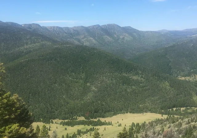 25th image of Tbd Bear Track Rd, Wolf Creek, MT 59648 | MLS# 30060519