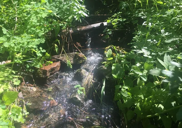 2nd image of Tbd Bear Track Rd, Wolf Creek, MT 59648 | MLS# 30060519