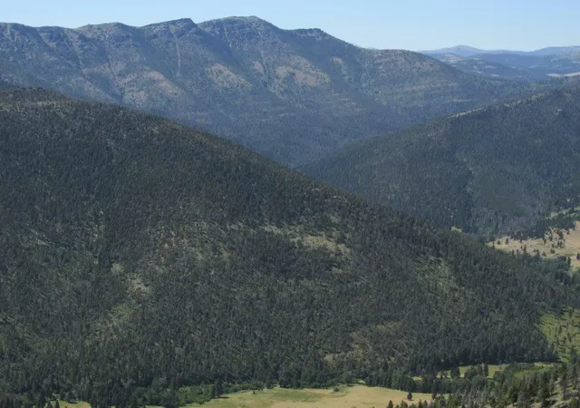 4th image of Tbd Bear Track Rd, Wolf Creek, MT 59648 | MLS# 30060519