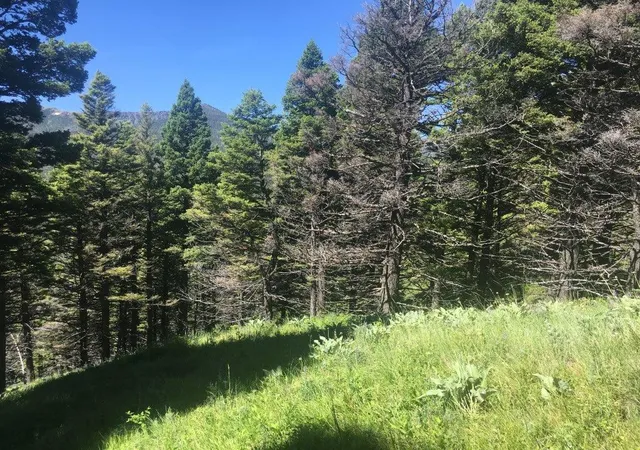 5th image of Tbd Bear Track Rd, Wolf Creek, MT 59648 | MLS# 30060519