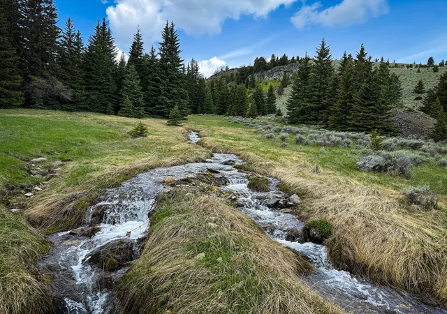 Homes for sale in Pony, MT | Nhn (160 Acres) Charcoal Creek, Pony, MT 59747 | MLS# 30060561